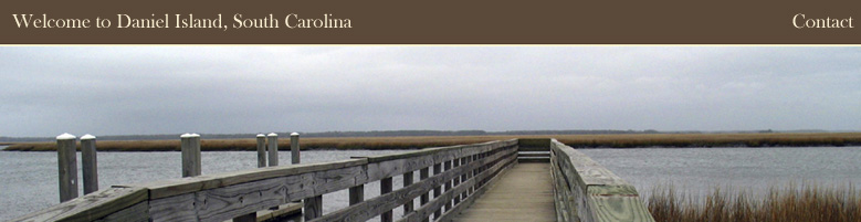 Daniel Island Real Estate Guide