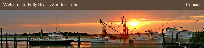 Folly Beach Real Estate Guide
